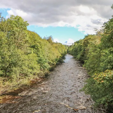 Lavender Richmond (North Yorkshire)